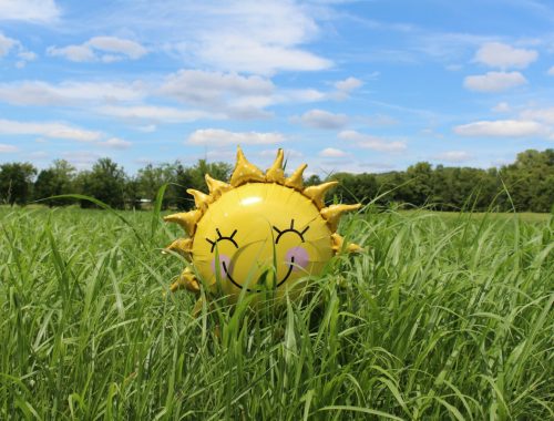 yellow inflatable sun at grass field